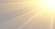 © LILIIA SMIRNOVA - Bright divine sun rays shining through cinematic haze