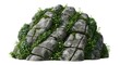 © HR Growth - Large grey rock covered with green climbing plants and moss in natural sunlight