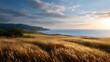 © Thares2020 - A stunning coastal landscape featuring rolling hills meeting the ocean under a dramatic sunset sky