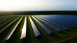 © PG Studio - Expansive solar energy farm at sunrise, with long rows of solar panels illuminated by the sun