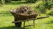 © Olga Ко - Old rusty wheelbarrow filled with branches and garden waste on lush green grass.