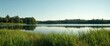 © TheWaterMeloonProjec - A still lake with dense green grass along the edges during a clear summer day