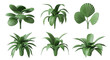 © SUUGOIisME - collection of 3d rendered green houseplants isolated against a plain white background decorative and design applications