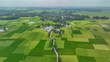 © Toufiqul - Aerial view showing a rural bangladeshi village and green rice fields
