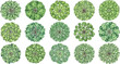 © Nasrin - Set of fifteen green tree top view icons for architectural landscape design plans and site map illustrations