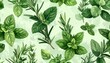 © Solikin - Fresh green rosemary and mint leaves seamless pattern in organic vector style illustration