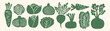 © Maria Petrish - Linocut style green vegetable silhouette set — carrot, pumpkin, beet, corn, lettuce, chard and radish icons in rustic woodcut stamp illustration design