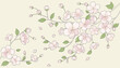 © budi - Delicate pink cherry blossoms on branches with green leaves, with some petals falling, against a light cream background.