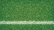 © Rois - Detailed top-down view of vibrant green artificial turf texture with a crisp white boundary line, perfect background for sports themes, fields, or outdoor event designs.