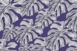© Iqra - Monstera leaves pattern on purple background