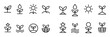 © Алла Якивченко - Gardening icons with seed sprout sun outline
