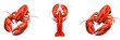 © Stock - Set of Fresh Red Lobster Seafood Gourmet Ocean Crustaceans PNG Collection