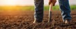 © Phanupong - Person Digging Soil With Shovel in Farmland Field During Golden Hour Sunset for Agricultural Work Concept and Rural Farming Lifestyle with Warm Natural Light and Harvest Preparation Scene