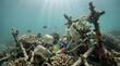 © Vanessa - Tropical reef ecosystem damaged by plastic contamination underwater scene