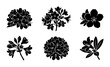 © Ripa - Botanical Vector Silhouettes: Rhododendron Flower Clusters, Floral Elements, Nature Graphics