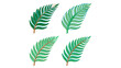 © MamunOr - Customizable vector plant icon set with adjustable line thickness. Colorful prehistoric fern leaf graphics for environmental design and ancient history projects featuring flexible strokes.