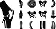 © Rakha - Orthopedic Knee Joint Black Glyph Icon Set