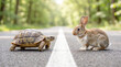 © keks20034 - Funny rabbit and tortoise encounter on empty road representing patience determination and rivalry