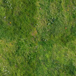 © Unimodels - Seamless Ground Texture with Green Grass, Moss and Small Pebbles