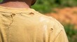 © Nusrat - Close up view of back view of a person wearing a yellow t shirt with holes in the fabric showing signs of aging and wear and tear in an outdoor setting with blurry green trees.