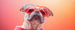 © saichon - Stylish bulldog wearing red sunglasses and pink cape looks confident with warm gradient background creating vibrant summer vibe
