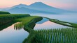 © World of AI - Flooded rice paddy terraces reflecting sunrise colors with lush green fields and distant mountains in the background, showcasing agricultural landscape in Southeast Asia