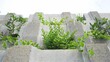 © zhu difeng - close up of concrete ecological brick wall with green plants growing on it