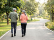 © Someone Cooked Here - retired indian couple jogging together in park for senior relationship active aging retirement wellness and insurance concept