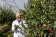 © Budimir Jevtic - Expert inspects apples in orchard