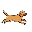 © fiker - Animated Labrador Retriever Running with Joyful Energy and Enthusiasm.