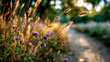 © ABF_MATEO - Soft sunlit path winds through a serene meadow of purple wildflowers and grasses in morning light