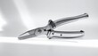 © shoukat - Electric scissors with metallic blade and ergonomic black handle on white surface, symbolizing precision cutting, modern design, and professional craftsmanship.