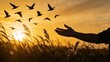 © Sharma - Silhouette of hand reaching towards flock of birds flying over field at golden sunset, freedom and nature concept