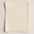 © Kintsugi91 - Empty textured off-white paper with deckled edges on a light background
