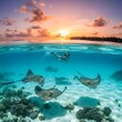 © Terong - Snorkeler swims with stingrays at sunset near tropical shore