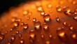 © Viktor - Macro shot water droplets on orange fabric. Small beads of liquid reflect light, showing material texture. This shows waterproof quality for outerwear or gear.