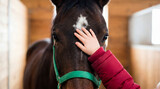 Child's hand touching horse creating animal bond