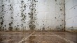 © Hamza - Mold and dampness growing on a concrete block wall in a wet, dirty basement corner