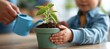© spyrakot - Parent teaching child to water houseplant at kitchen table