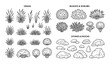 © MdRabbi - Hand drawn grass bushes and stones line art vector set for landscape design