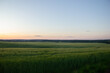 © fomalgaut - Vast green wheat field under soft evening sky. Gentle twilight gradient fading from pale orange to blue across peaceful countryside landscape with clear horizon. Scenic rural panorama