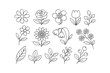 © DzgnVibe - Collection of Hand-Drawn Floral Elements and Botanical Illustrations in Outline Style