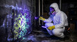© Luluraschi - Mold inspector using UV blacklight in basement revealing toxic wall contamination