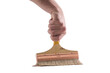 © ASDF - Hand grips a paintbrush with natural bristles