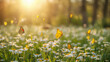 © bephoto - 自然広告向けに黄色い蝶と春の花畑の余白を写した写真
