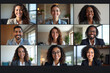 © Vera - African Speaker Delivers Dynamic Presentation to Diverse Group of Professionals at Online Virtual Business Conference