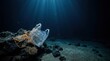 © Friedbert - Deep Ocean Plastic Bag with Bacterial Mats on Rocky Seafloor