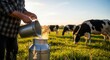 © Ika - Farmer pouring fresh milk into a metal container on a dairy farm at sunset.
