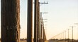 © SashaMagic - Row of weathered wooden utility poles receding into distance during golden hour, emphasizing texture and linear perspective