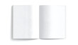 © Muhammad - Open blank white magazine or brochure pages, clean spread for copy, mockup template for design layout